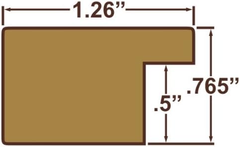 Craig Frames 26026 20 by 20-Inch Picture Frame, Smooth Wrap Finish, 1.26-Inch Wide, Green