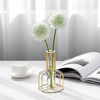 Kimura's Cabin 20Pcs Fake Chrysanthemums Artificial Silk Ball Flowers Faux mums Flower for Spring Wedding Festival Home Table Core DIY Decoration (Light Green)