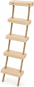 with Shelves for Climbing and Play, Hard Ladder