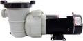 Rx Clear Dorado 2 HP Dual Port Pump | Above-Ground Swimming Pool Pump | 115V 12 Amps | See-Through Strainer Cover | Energy Efficient | Low Maintenance