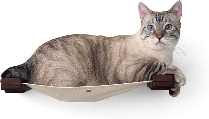 CatastrophiCreations Cat Lounge Hammock Wall Mounted Lounger for Climb and Play Furniture Cat Tree Shelve