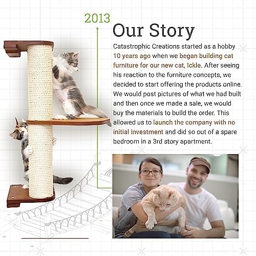 Catastrophic Creations Cat Tree with Hammock Perch – Mounting Wall Cat Shelves w/Canvas Fabric – Bamboo Wood Cat Tree Floating Steps – Lounger & Climber Cat Trees – Modern Cat Furniture