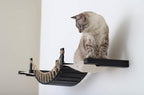 CatastrophiCreations Cat Bridge Wall-Mounted Play and Lounge Toy Cat Tree with Fabric Lounger for Pets, Onyx Bamboo/Natural Canvas