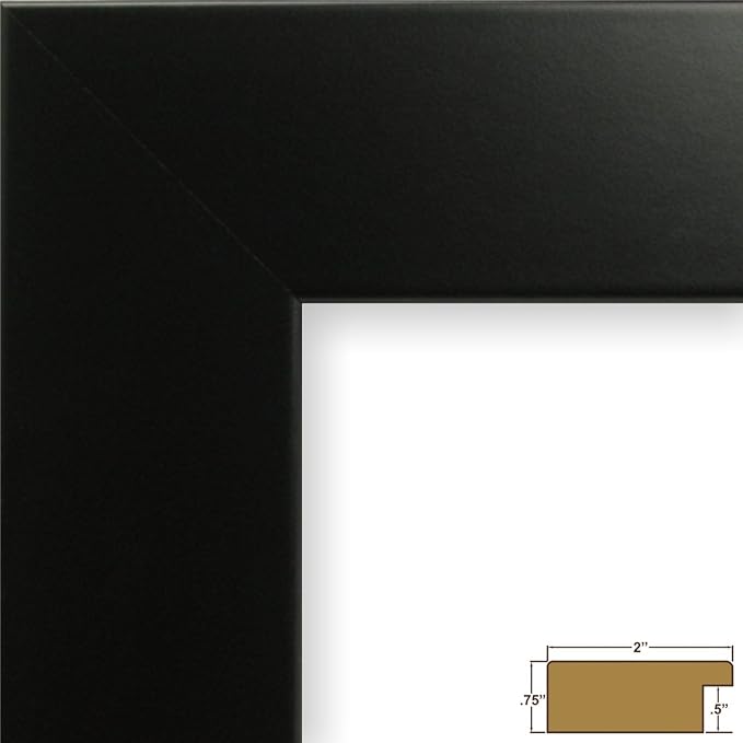 Craig Frames 12x16 Black Picture Frame for Posters, Photos, and Prints | Displays photos and prints behind clear glass, ready to hang, made in the USA