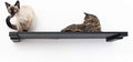 CatastrophiCreations 34" Cat Shelf Wall Mounted Elevated Climb, Lounge and Play Furniture Cat Tree Shelves