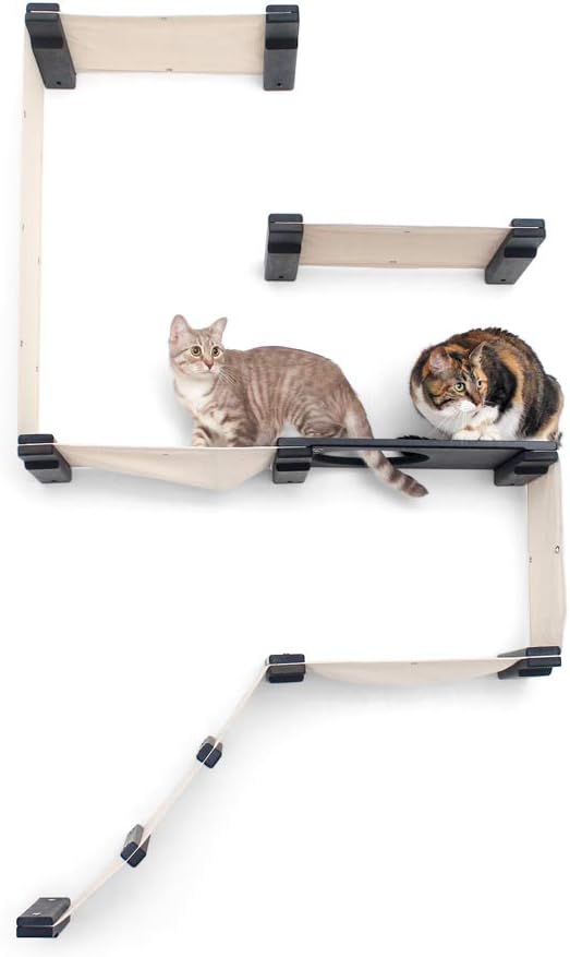 CatastrophiCreations Cat Fort Set - Multiple-Level Cat Hammock & Climbing Activity Center Wall-Mounted Cat Tree Shelves