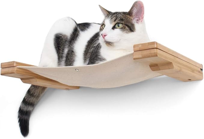 CatastrophiCreations Cat Lounge Hammock Wall Mounted Lounger for Climb and Play Furniture Cat Tree Shelves