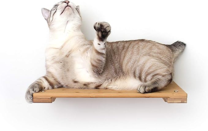 CatastrophiCreations Solid Wood Cat Shelf Handcrafted Wall-Mounted Cat Furniture, Onyx, 18"