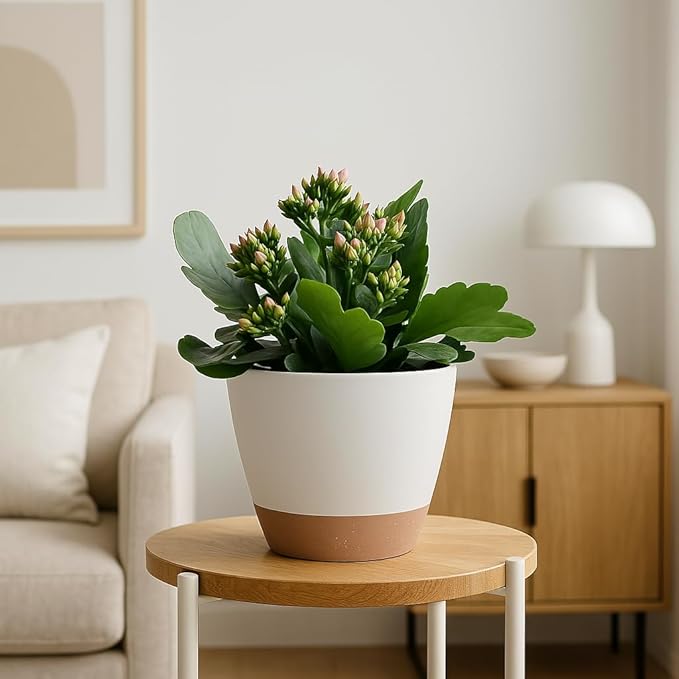Plant Pots 12/10/9 inch Set of 3, Self Watering Flower Pots Indoor Outdoor, Planters with Drainage Hole Saucer Reservoir, White