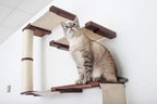 CatastrophiCreations Deluxe Cat Fort Wall Mounted Lounge, Climb and Play Furniture Cat Tree Shelves, English Chestnut Bamboo/Natural Canvas, one Size
