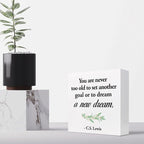Inspirational Wood Box Sign Desk Decor,You are Never Too Old to Set Another Goal Wood Plaque Signs,Rustic Positive Wooden Block Sign for Home Office Shelf Desk Table Decoration C1064