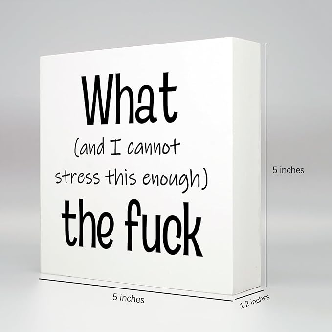 Funny Desk Decor Office Decorations for Work Funny Office Decor What and I Cannot Stress This Enough the Fuck Cool Office Decor Wooden Signs for Home Decor Office Desk Decor Funny Signs (5x5inch)