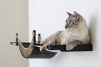 CatastrophiCreations Cat Bridge Wall-Mounted Play and Lounge Toy Cat Tree with Fabric Lounger for Pets