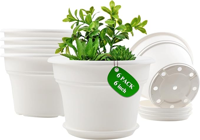 6 Inch Plastic-Flower Pot-for-Indoor Plants, 6 Pack Outdoor Plant Pots with Drainage Holes & Saucers, Resin Garden Pots Planters