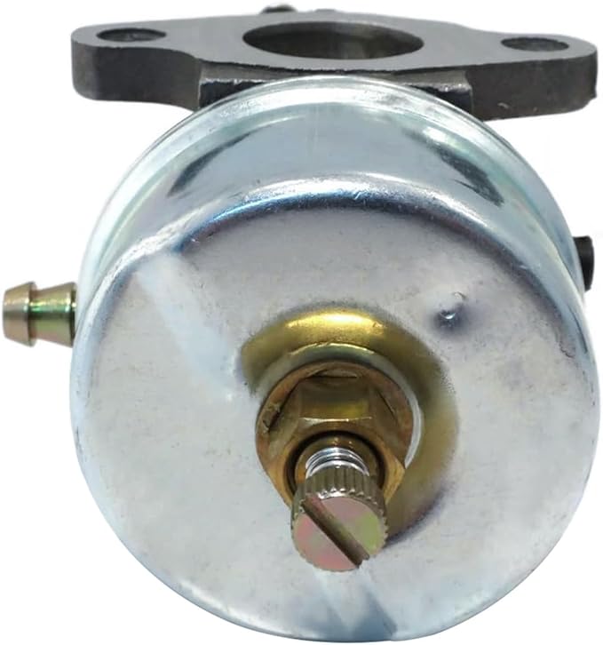 H60 HH60 Carburetor for Tecum seh 632230 632272 H30 H50 Engines Carb Fits 631828 631067 631067A 5 HP 6 HP 4 cycle engines on snowblowers & tr oy bilt horse tillers Parts