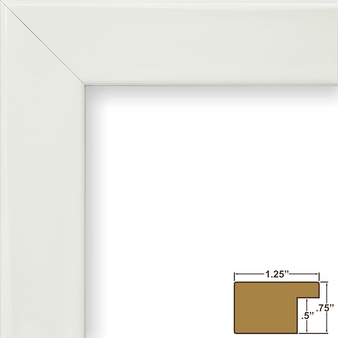 Craig Frames BW26460 10 by 12-Inch Picture Frame, Smooth Wrap Finish, 1.25-Inch Wide, Glossy White