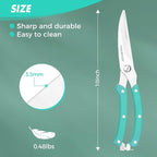 HAUSHOF 10" Poultry Shears, Stainless Steel Kitchen Scissors for Food | Serrated Blade, One-Piece Handle, Spring-Assisted Cutting, Safety Lock, Poultry, Meat, Fish & Bone Prep