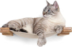 CatastrophiCreations Cat Lounge Hammock Wall Mounted Lounger for Climb and Play Furniture Cat Tree Shelves