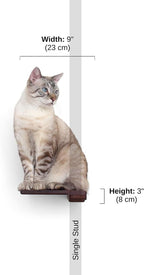 Catastrophic Creations Wooden Cat Step Floating Shelf (English Chestnut Bamboo)— Cat Wall Furniture for Indoor Cat — Platform Climber Wooden Cat Shelves —Playing & Jumping — Cat Wall Shelves