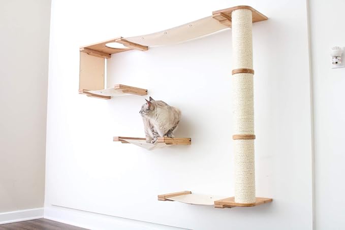 CatastrophiCreations Cat Mod Climb Track Handcrafted Wall Mounted Cat Tree Shelves, English Chestnut/Natural, One Size (528375911ENNAT)