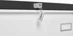 2 Drawer Metal Lateral Lock and Card Holder,Office Vertical Files Storage Cabinets w/Heavy 3 Section Slide Rail & Breathable Holes,for Legal/Letter/A4,Black+White