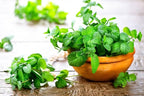 Gardenera Spearmint Plant Potting Soil - All-Natural Blend for Thriving Spearmint Plants - Boosts Root Health and Aroma - 10 Quart
