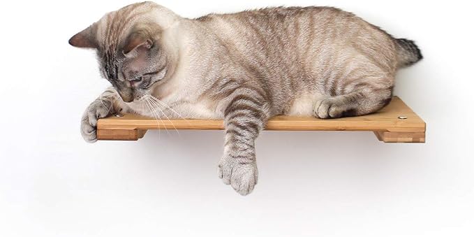 CatastrophiCreations Cat 18" Shelf Handcrafted Elevated Wall, English Chestnut Bamboo, one Size