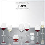 SCHOTT ZWIESEL Forté Champagne Flute (Set of 6), Champagne Glasses with Effervescence Point, Dishwasher-Safe Machine-Made Tritan Crystal Glasses, Made in Germany (8 Ounce)
