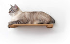 CatastrophiCreations Solid Wood Cat Shelf Handcrafted Wall-Mounted Cat Furniture, English Chestnut, 18"