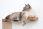 CatastrophiCreations Cat Wall Mounted Play Cat Condo, Bamboo Frame, Modular Design, Sisal Pole, Hammock, 18" and 34" Sections