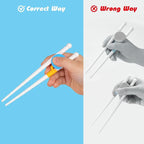 Chopsticks for Kids, 2 Pairs Training Chopsticks for Toddlers Beginners Baby Children Learning and Practice, Easy Mealtime & Fine Motor Skill Development, Non-Slip Grip, Dishwasher Safe | Beginners Children Learning and Practice, Easy Mealtime & Fine M...
