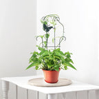 23 Inch Plant Trellis for Potted Plants, Sturdy Metal Houseplant Trellis for Climbing Plants Indoor Outdoor, Rust-Resistant Plant Support for Monstera Pothos Ivy, 2 Pack (2, 23inch)