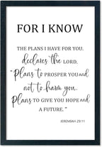 LuZhiQiang Jeremiah 29 11 Wall Art 16"×11" For I Know The Plans I Have for You Sign Wood Framed Wall Decor Hanging (Black)