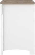 Bush Furniture Salinas 2 Drawer Lateral File Cabinet in Pure White and Shiplap Gray