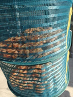 Foldable Drying Net for Vegetables, Fish, and Dehydrated Goods, Multi-tiered Food Drying Net, Versatile Drying Rack, Windproof Design, Zipper Closure for Insect Protection (Dark green, Triple Layer)