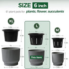 T4U 6 Inch Self Watering Pots for Indoor Plants, 6 Pack Plant Pots, Self Watering Planter for Indoor Plants, Durable Plastic Pots, Flower, Succulents (6 Pack, 6", Gray)