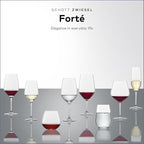 SCHOTT ZWIESEL Forté All Purpose Glass 15 Ounce (Set of 6), Drinking Glasses for Water, Beverages and Mixed Drinks, Dishwasher-Safe Tritan Crystal Glasses, Made in Germany