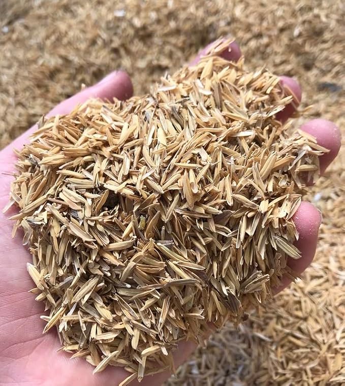 Gardenera Natural Rice Hulls - Eco-Friendly Mulch and Soil Amendment for House Plants and Chicken Bedding - 1 Quart