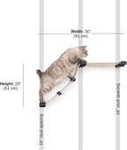 CatastrophiCreations Lift Wall Mounted Cat Tree Shelves, Onyx/Natural, One Size