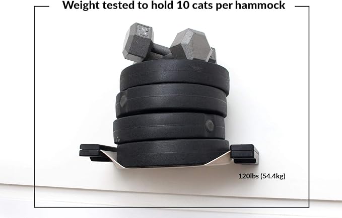 CatastrophiCreations Climb - Multiple-Level Cat Hammock & Climbing Activity Center Wall-Mounted Cat Tree Shelves