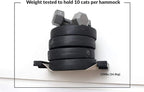 CatastrophiCreations Climb - Multiple-Level Cat Hammock & Climbing Activity Center - Wall-Mounted Cat Tree Shelves