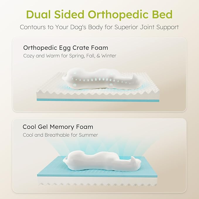 Jumbo Orthopedic Dog Bed for Extra Large Dogs With Cooling Gel Memory Foam, Waterproof Removable Washable Cover, 45" Sofa Couch Dutch Velvet With Bone Toy, Dark Gray