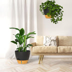 ZMTECH 12 Inch Hanging Planters for Indoor Outdoor Plants, 2 Pack Self Watering Hanging Plant Pots with Drainage Hole, Visual Reservoir, Plastic Flower Hanging Pots with Watering Lip (Black)
