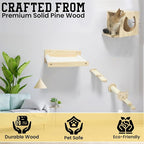 Wall Climber Set – Mounted Shelves and Climbing Bridge for Active Indoor Pets – 6-Piece Furniture Set