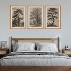HPINUB Vintage Sketch Tree Framed Canvas Wall Art Set,Modern Nature Botanical Wall Decor, Antique Wilderness Tree Artwork,Minimalist Neutral Art Prints for Living Room,Bedroom,Farmhouse-16 x24 x3