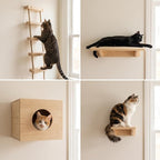 with Shelves for Climbing and Play, Cat House