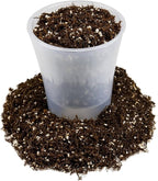 Premium Aglaonema Plant Soil Mix by Gardenera - Stimulate Growth and Elevate Leaf Color with Nourishing Formula - 5 Quart