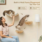 Cat Wall Shelves and Cats Window Perch – Natural Wood 4-Piece Set with Foam-Padded Curved Bed and Felt Steps, Space-Saving Wall Mounted Design