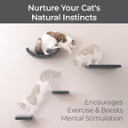 Wall Mounted Cat Shelves (Set of 4) by Pryde Pets - 100% Sustainable PET Felt Feline Enrichment Climber Furniture for Small & Large Indoor Cats, Modern Climbing Gym Jungle Design (Charcoal)