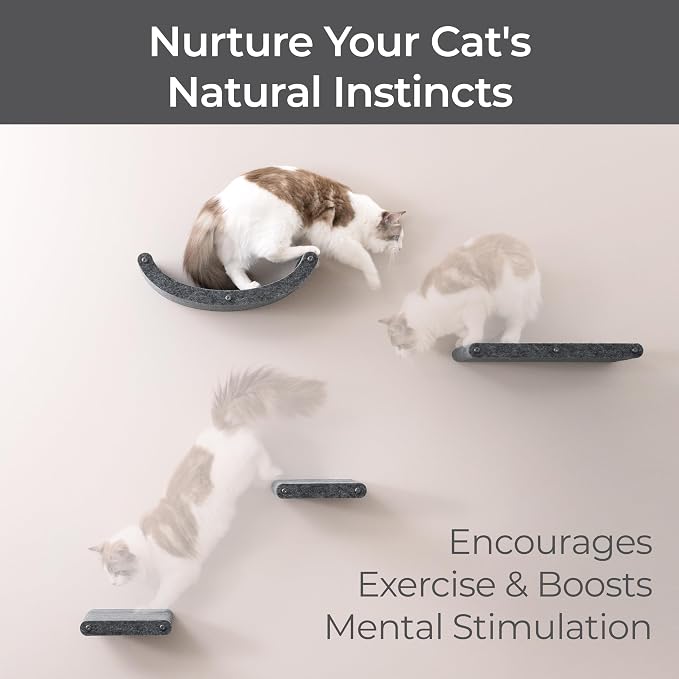 Wall Mounted Cat Shelves (Set of 4) by Pryde Pets - 100% Sustainable PET Felt Feline Enrichment Climber Furniture for Small & Large Indoor Cats, Modern Climbing Gym Jungle Design (Charcoal)